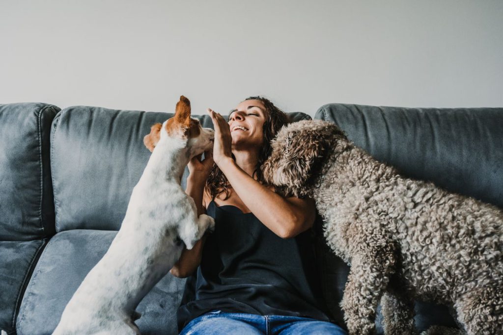 PetSquad House Sitting